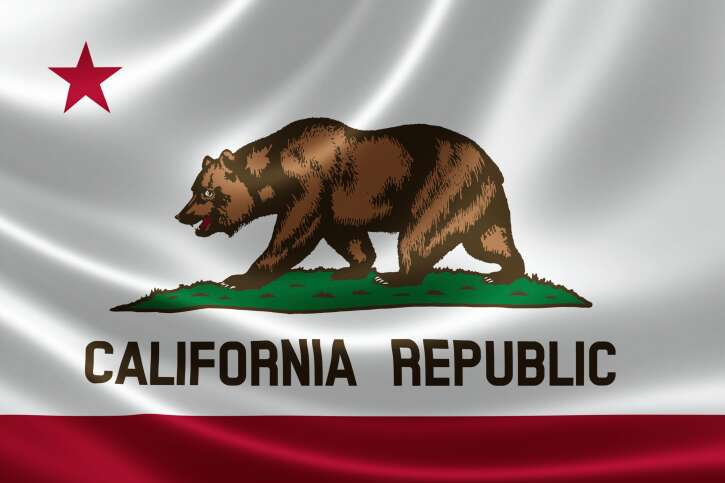 California State Flag